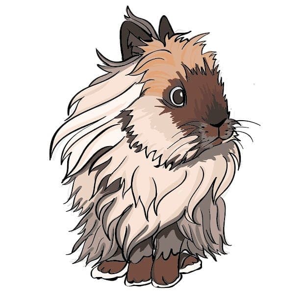 Aurora Dream Rabbitry
